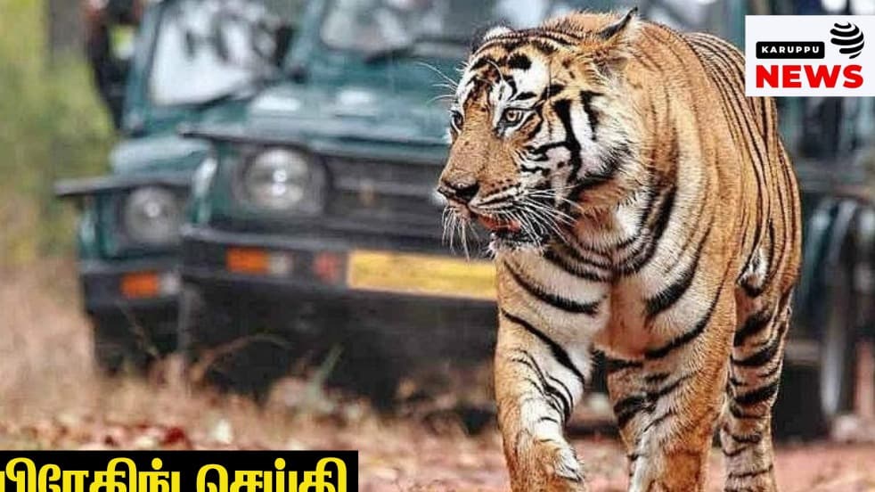 மேகமலை புலிகள் காப்பக ஆக்கிரமிப்பு: 118 அரசு ஊழியர்கள் மீது நடவடிக்கை எடுக்க தேனி ஆட்சியர் உத்தரவு!